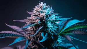 The History of Blue Cheese: Origins and Cultural Impact