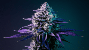 Why Blue Cheese is Perfect for Social Settings